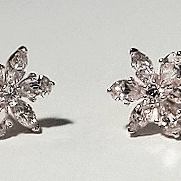Authentic NEW Pandora Sparkling Herbarium Cluster Stud CZ Earrings S925ALE - Picture 2 of 8